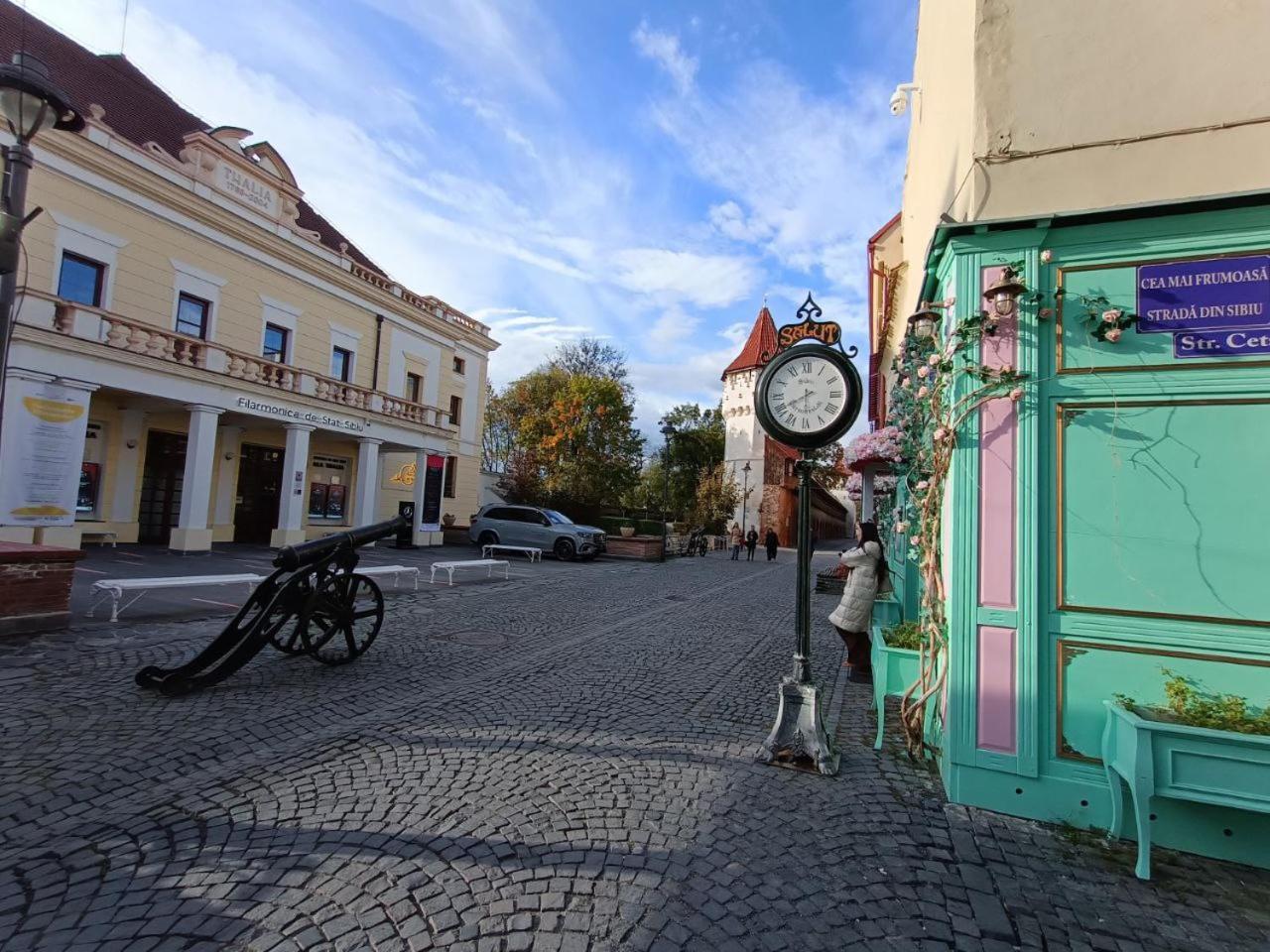 Old Town Cozy Nest Apartment Sibiu Ngoại thất bức ảnh